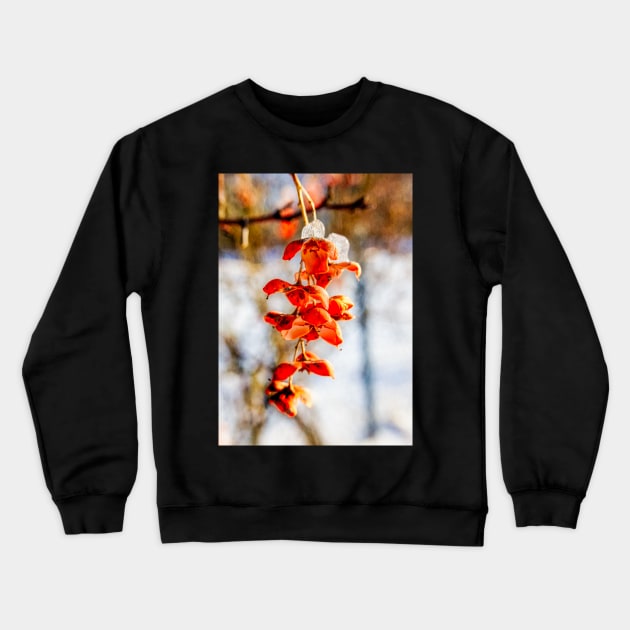 Winter Bittersweet Crewneck Sweatshirt by Robert Alsop